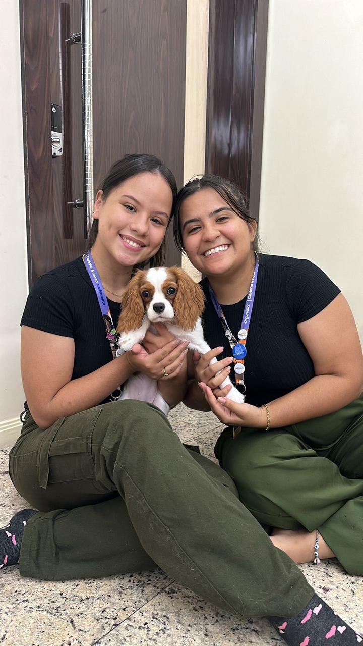 Veterinárias da House Patas com cachorro spaniel em atendimento domiciliar profissional